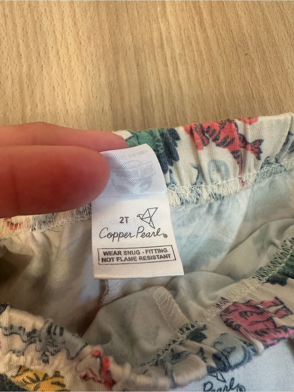 Copper Pearl Jurassic Park Kids Dinosaur Pajama Set - Multicolor Dino Print - Picture 5 of 6